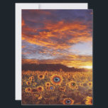 Cute Sunflower Eye - Vintage Funny Birthday Gift<br><div class="desc">- Sunflowers grow together, more symbolizing the happiness of the family, unity and harmony, hanging on the wall, feeling the happiness of home at all times. - Art frame wall painting decoration: suitable for living room, bedroom, kitchen, dining room, bathroom, bar hotel and other scenes. It is also a great...</div>