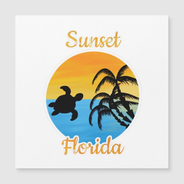 Cute Sunset in Florida    (Frente)