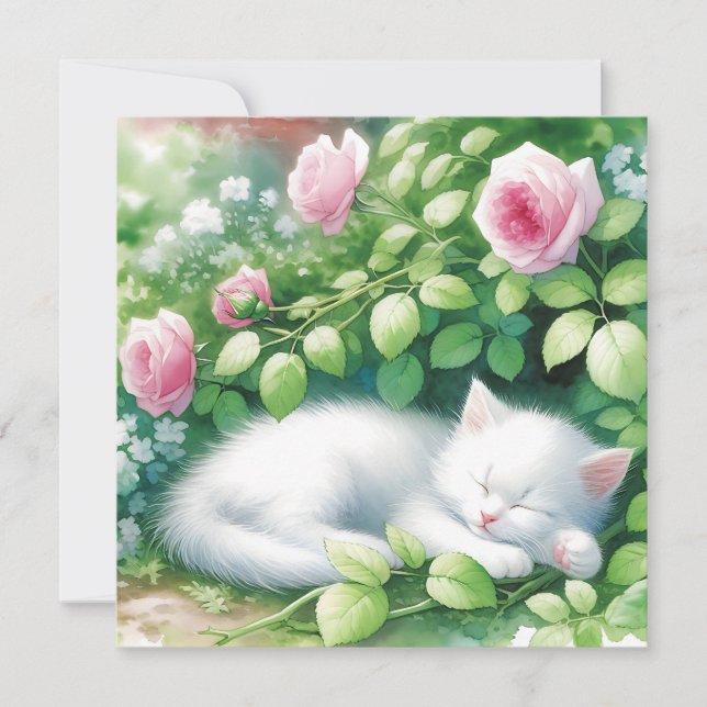 Cute White Kitten Napoleado Sob Rosebush (Frente)
