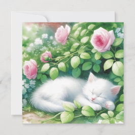 Cute White Kitten Napoleado Sob Rosebush