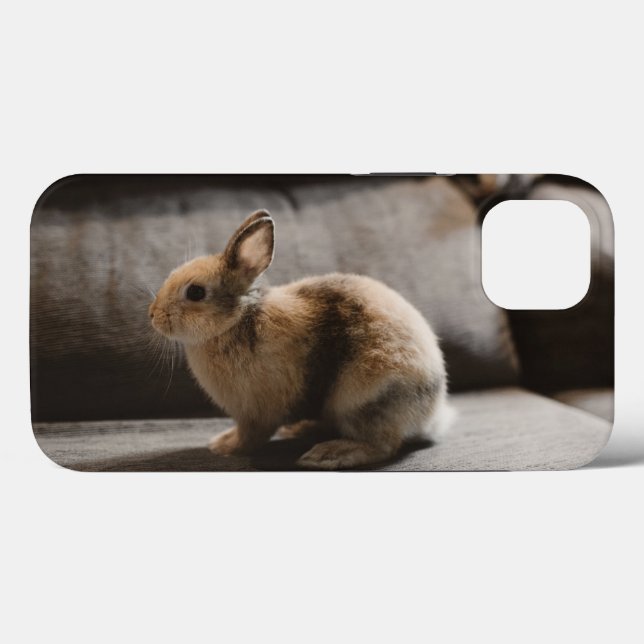 Cutest Baby Animals | Netherland Dwarf Rabbit (Verso (horizontal))