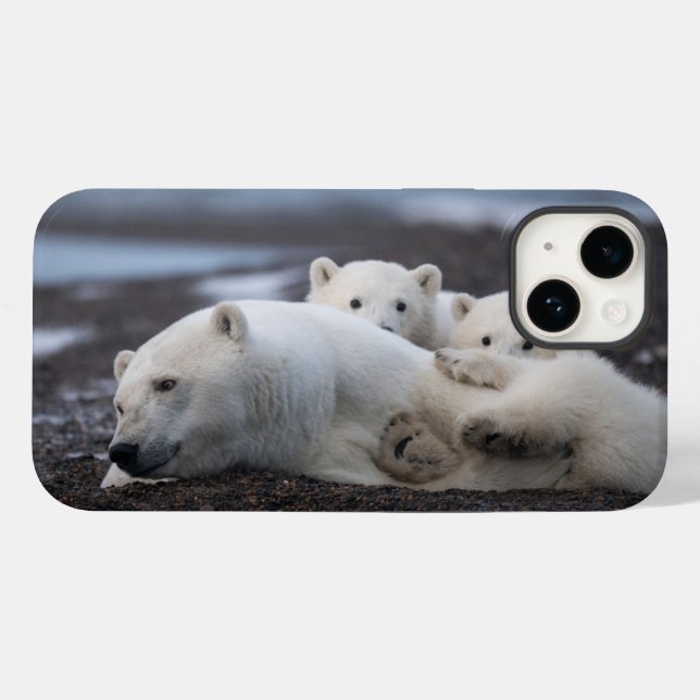 Cutest Baby Animals | Polar Bear Family Alaska (Verso (horizontal))