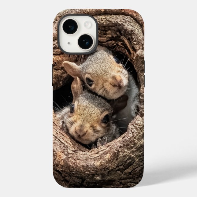 Cutest Baby Animals | Two Young Squirrels (Verso)