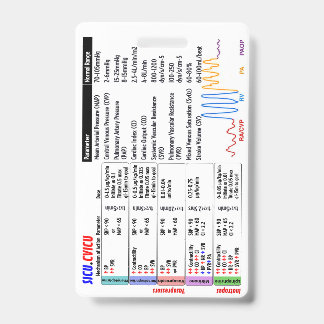 CVICU SICU Crachá Buddy