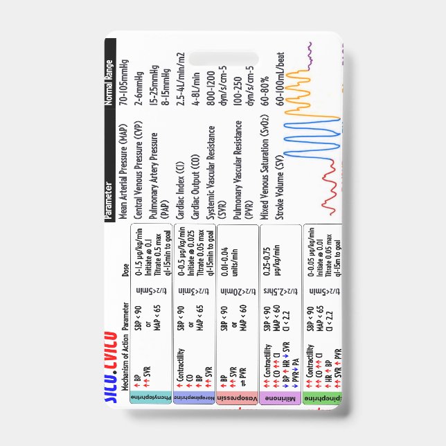 CVICU SICU Crachá Buddy (Front)