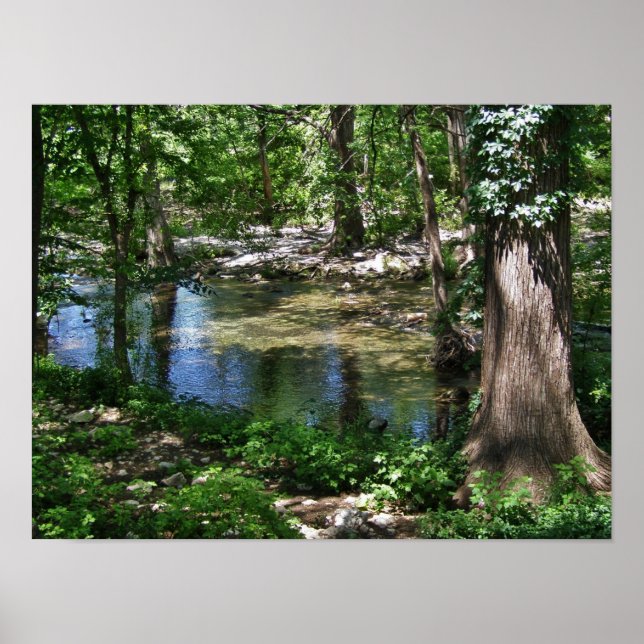 Cypress Creek Poster (Frente)