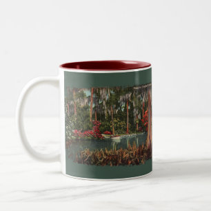 Cypress jardina caneca de café de Florida