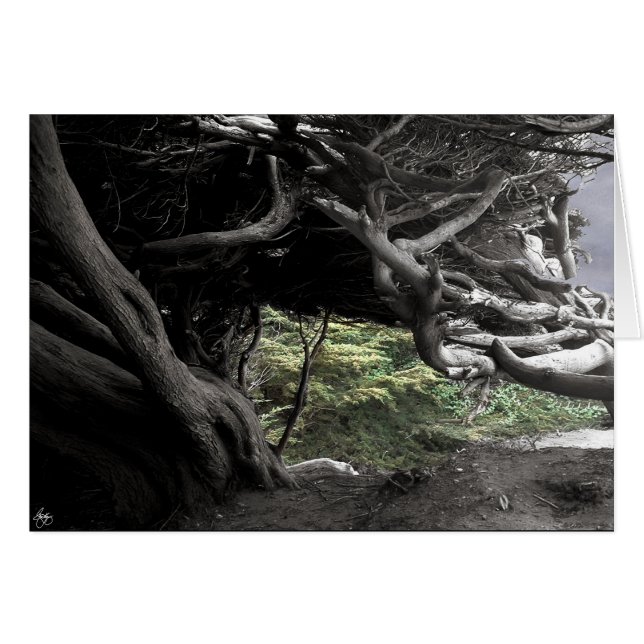 Cypress Skeleton - cartão (Frente Horizontal)