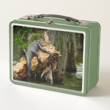 Cypress Swamp Lunch Box, preguiçoso, de DeGruy