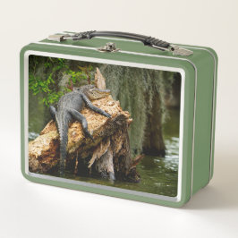 Cypress Swamp Lunch Box, preguiçoso, de DeGruy
