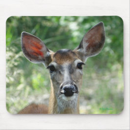 D33 Fêmea de cervo-de-cauda-branca mouse pad