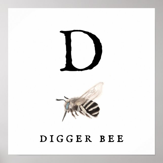 "D" Digger Bee Value Poster Paper (Matte) (Frente)