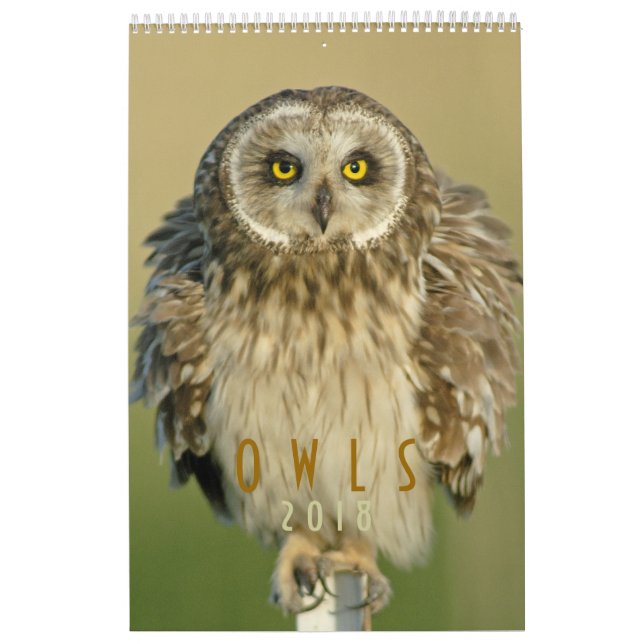 Da coruja dos amantes calendário 2018 de parede (Capa)