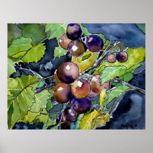 da vinha poster da pintura da arte da fruta da