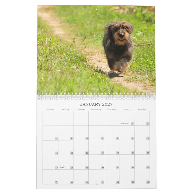 Dachshund 2009 - calendário customizável! (Jan 2027)