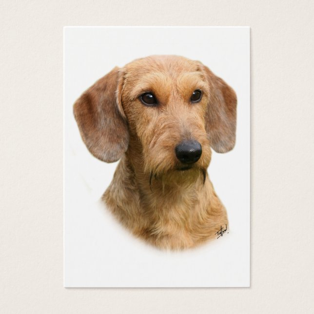 Dachshund 9Y426D-207-2 (Frente)