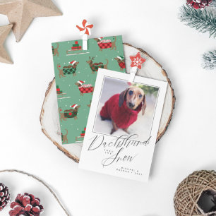 DACHSHUND ATÉ A NEVE Adicionar Sua Foto