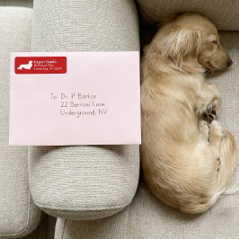 Dachshund Cachorro Salsicha | Etiqueta de Endereço