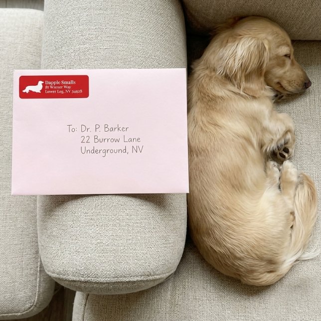 Dachshund Cachorro Salsicha | Etiqueta de Endereço (Dachshund Wiener Dog | Red Return Address Label)