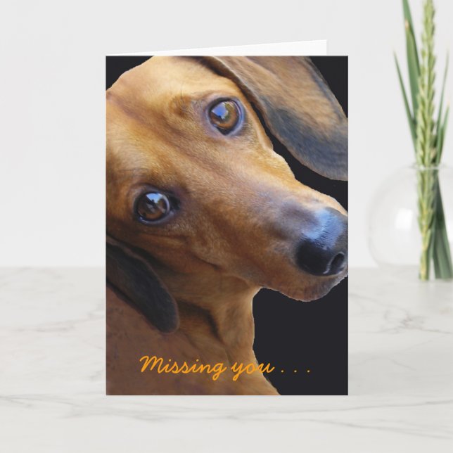 Dachshund de Brown, faltando o. Cartão (Frente)
