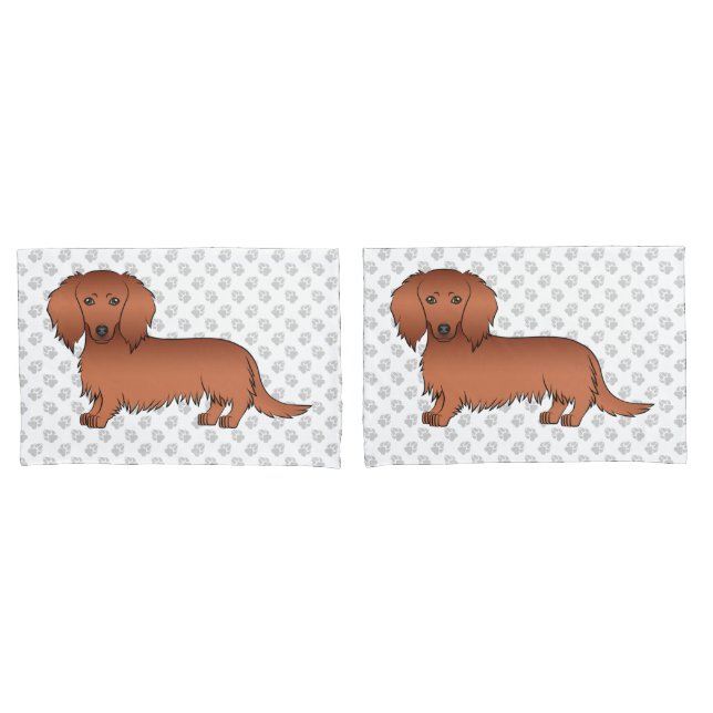 Dachshund de Cabelo Comprido Vermelho Cachorro de  (Frente - conjunto)