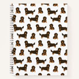 Dachshund de cabelos longos