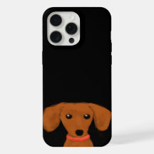 Dachshund em Pequim | Cachorro Cachorro Cachorro