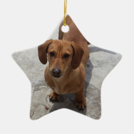 Dachshund Enfeites de natal Star Personalizado
