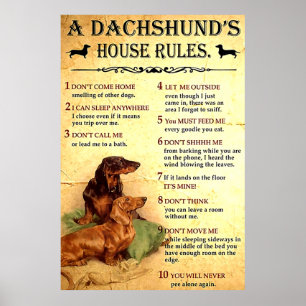 Dachshund House Regulamentação Poster para Present