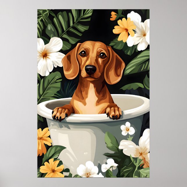 Dachshund In Bathtub Poster, Funny Dog Poster (Frente)
