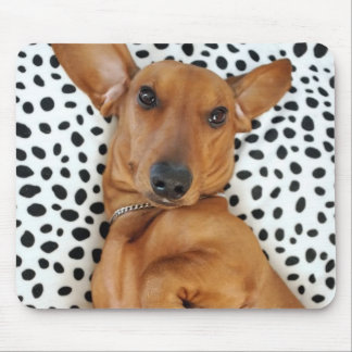 Dachshund Mousepad do divertimento
