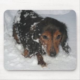 Dachshund na neve Mousepad