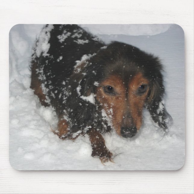 Dachshund na neve Mousepad (Frente)