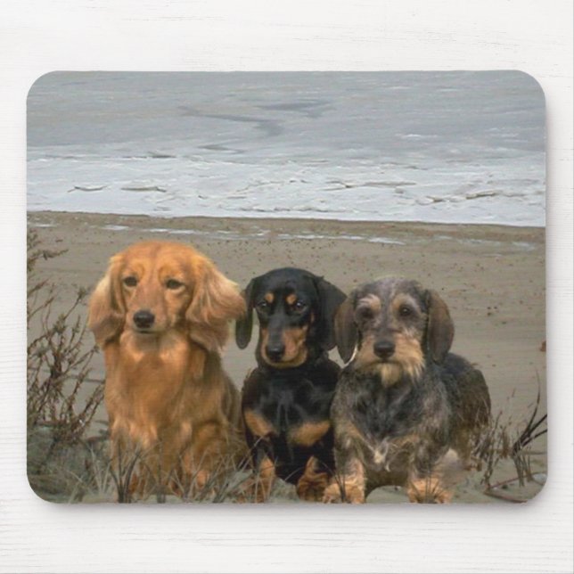 Dachshund na praia Mousepad (Frente)