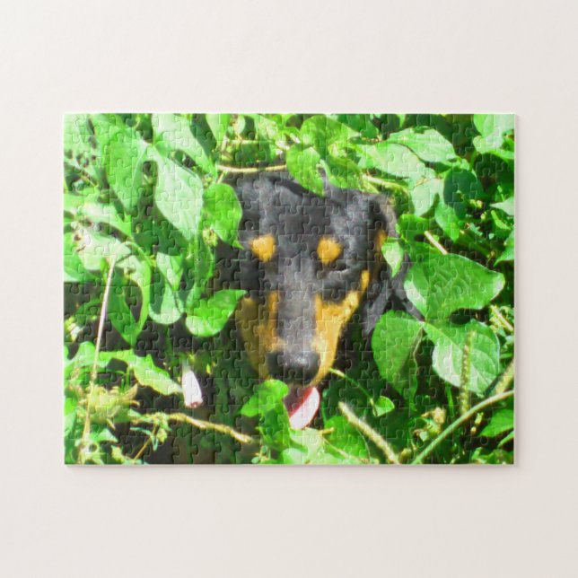 Dachshund Peeking Através de Folhas Quebra-cabeça (Horizontal)