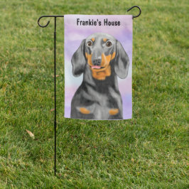 Dachshund Portrait