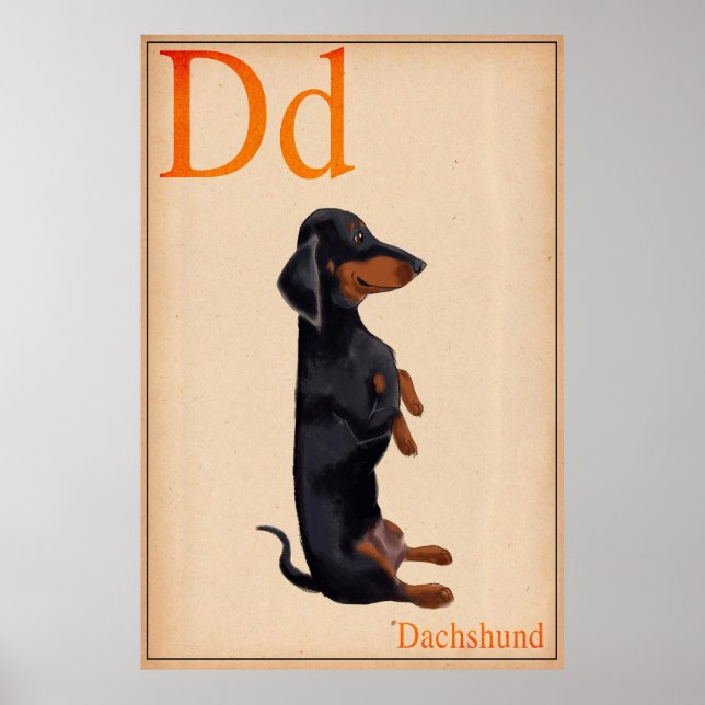 Dachshund Poster (Frente)