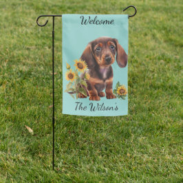 Dachshund Puppy Adorável
