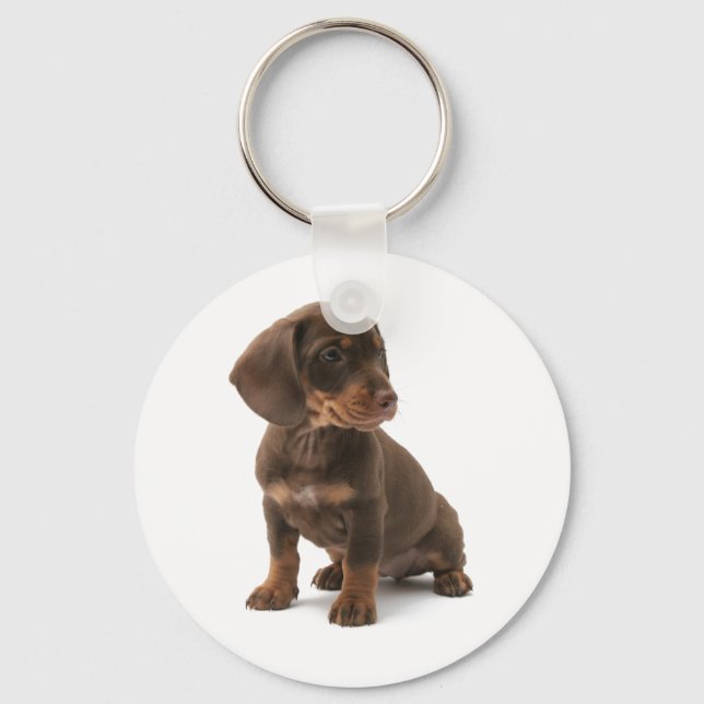 Dachshund Puppy Chaveiro (Frente)