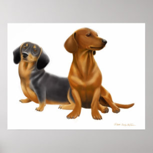 Dachshund Wiener Dogs Impressão
