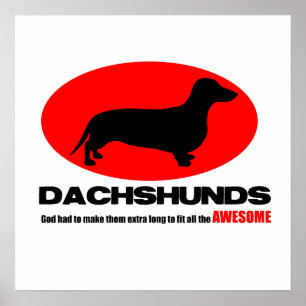Dachshunds - o deus fez-lhes o poster extra longo