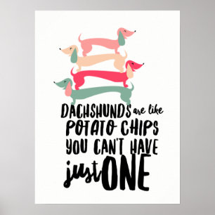 Dachshunds são como Batatas Fritas Poster