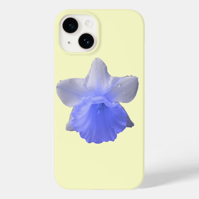 Daffodil Azul (Verso)