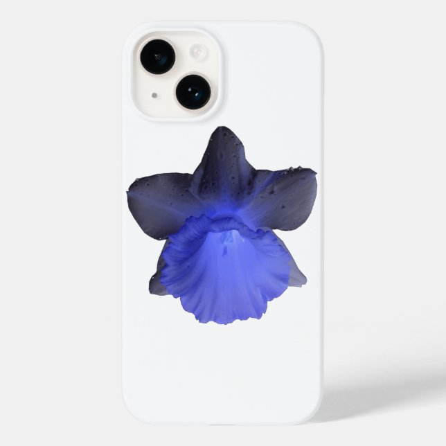 Daffodil de gotejamento azul-moody (Verso)