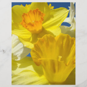 Daffodil Flowers Scrapboobooking paper