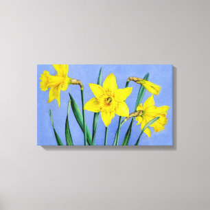 Daffodilos amarelos na impressão de plástico azul