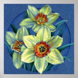 "Daffodils - as alegrias do primavera" belo poster