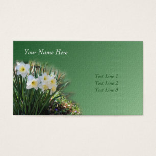 Daffodils Brancos Arte Flor