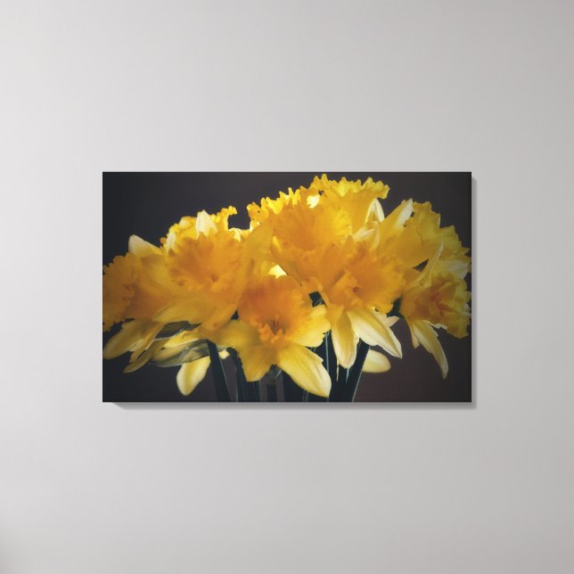Daffodils Canvas Flor Arte Fotográfica (Frente)