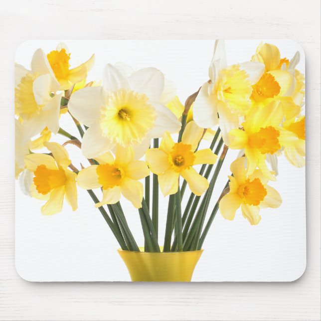 Daffodils em um Mousepad Vase (Frente)